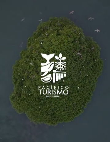 Transformación turística del Pacífico